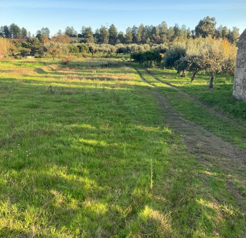 Land 22