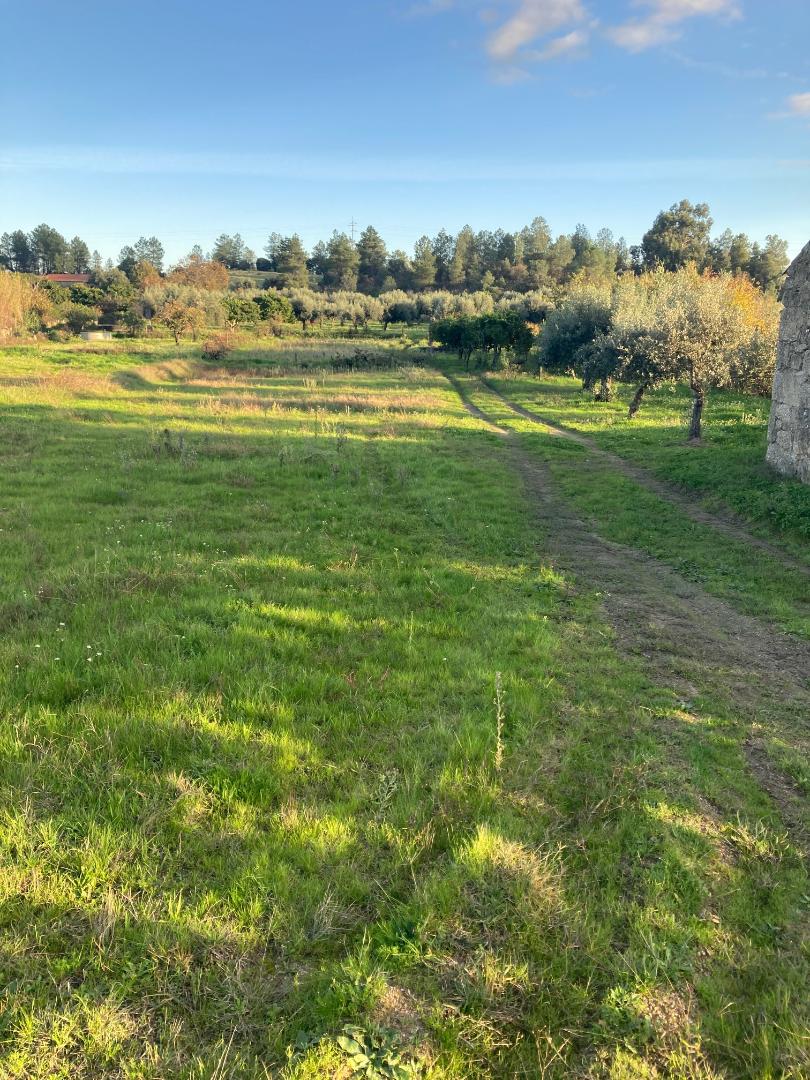 Land 22