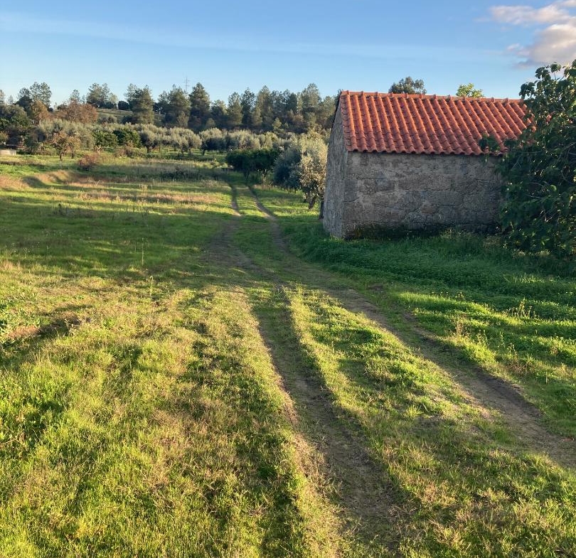 Land 23