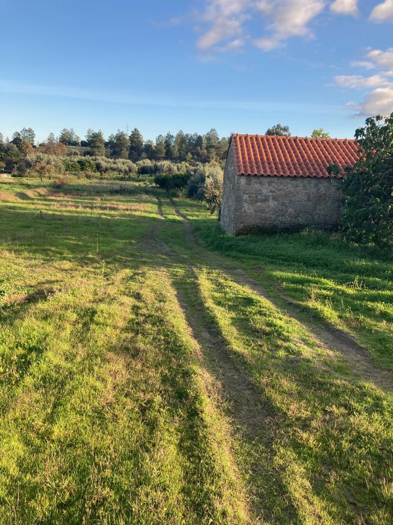 Land 23