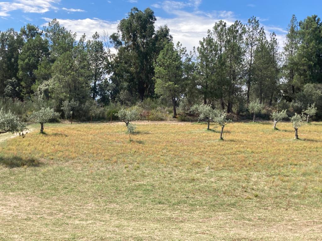 Land 3