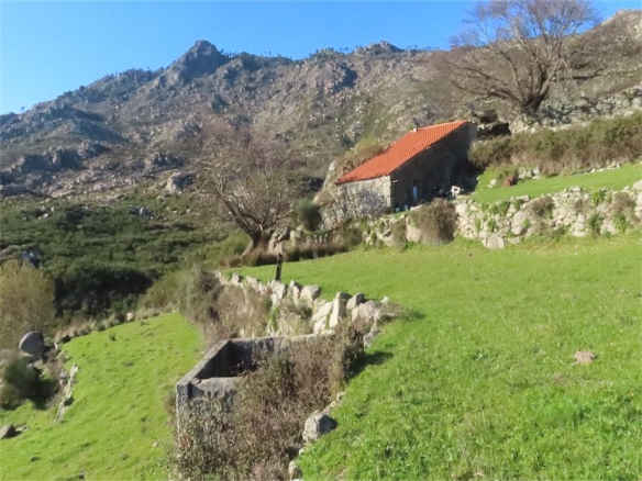 How to Buy a Rustic Farmhouse in Beira Baixa