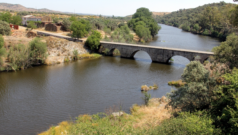 Castelo Branco’s Festivals and Traditions | Properties in Portugal