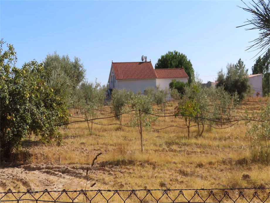 Farms for Sale in Portugal