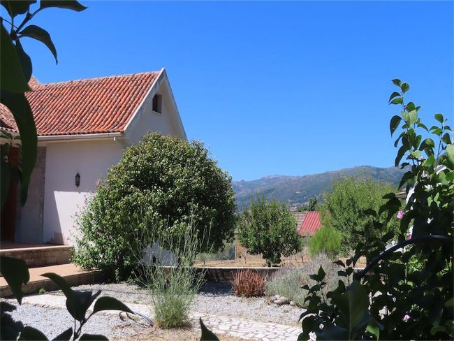 Invest in Castelo Branco