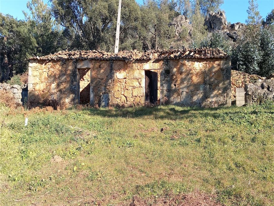 Casa 3_1